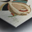 Colourful and surreal illustrations of fishes found in Moluccas Indonesia and the East Indies by Louis Renard 1678 -1746 from Histoire naturelle des plus rares curiositez de la mer des Indes 1754. Metal print