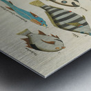 Colourful and surreal illustrations of fishes found in Moluccas Indonesia and the East Indies by Louis Renard 1678 -1746 from Histoire naturelle des plus rares curiositez de la mer des Indes 1754. Metal print