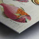 Colourful and surreal illustrations of fishes found in Moluccas Indonesia and the East Indies by Louis Renard 1678 -1746 from Histoire naturelle des plus rares curiositez de la mer des Indes 1754. Metal print