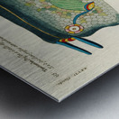 Colourful and surreal illustrations of fishes and crab found in Moluccas Indonesia and the East Indies by Louis Renard 1678 -1746 from Histoire naturelle des plus rares curiositez de la mer des Indes 1754. Metal print