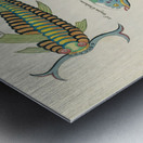 Colourful and surreal illustrations of fishes and other marine life found in Moluccas Indonesia and the East Indies by Louis Renard 1678 -1746 from Histoire naturelle des plus rares curiositez de la mer des Indes 1754. Metal print