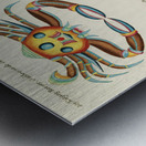 Colourful and surreal illustrations of fishes and crabs found in Moluccas Indonesia and the East Indies by Louis Renard 1678 -1746 from Histoire naturelle des plus rares curiositez de la mer des Indes 1754. Metal print