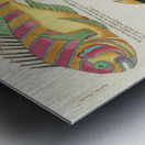 Colourful and surreal illustrations of fishes found in Moluccas Indonesia and the East Indies by Louis Renard 1678 -1746 from Histoire naturelle des plus rares curiositez de la mer des Indes 1754. Metal print