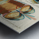 Colourful and surreal illustrations of fishes lobster and crab found in the Indian and Pacific Oceans by Louis Renard 1678 -1746 from Histoire naturelle des plus rares curiositez de la mer des Indes 1754. Metal print