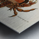 Colourful and surreal illustrations of crabs found in Moluccas Indonesia and the East Indies by Louis Renard 1678 -1746 from Histoire naturelle des plus rares curiositez de la mer des Indes 1754. Metal print