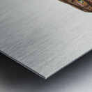 Antique fish platycephalus sp flathead South Pacific Fishes by Frank Edward Clarke 1849-1899.  Metal print