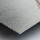 Antique fish myxus elongatus sand mullet South Pacific Fishes by Frank Edward Clarke 1849-1899.  Impression metal