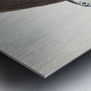 Antique Flyfish South Pacific Fishes by Frank Edward Clarke 1849-1899.  Metal print