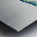 Antique fish geotria australis fresh water lamprey South Pacific Fishes by Frank Edward Clarke 1849-1899.  Metal print