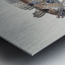 Antique fish possibly heteroclinus sp weedfish South Pacific Fishes by Frank Edward Clarke 1849-1899.  Metal print