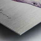 Antique fish Groper South Pacific Fishes by Frank Edward Clarke 1849-1899.  Metal print