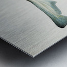 Antique fish Mustelus Antarcticus shark South Pacific Fishes by Frank Edward Clarke 1849-1899.  Metal print