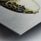 Antique fish Pufferfish South Pacific Fishes by Frank Edward Clarke 1849-1899.  Metal print