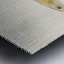 Antique fish engraulis australis anchovy South Pacific Fishes by Frank Edward Clarke 1849-1899.  Metal print