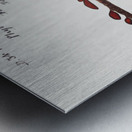 Antique fish phyllopteryx taeniolatus South Pacific Fishes by Frank Edward Clarke 1849-1899.  Metal print