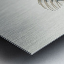 Antique Prickly anglerfish South Pacific Fishes by Frank Edward Clarke 1849-1899.  Metal print