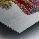 Antique Prickly anglerfish South Pacific Fishes by Frank Edward Clarke 1849-1899.  Metal print