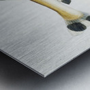 Antique fish gonorynchus fosteri sand fish South Pacific Fishes by Frank Edward Clarke 1849-1899.  Metal print