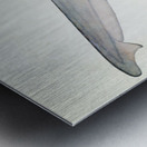 Antique fish South Pacific Fishes by Frank Edward Clarke 1849-1899.  Metal print