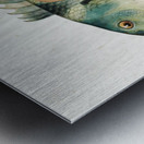 Antique fish Wrasse South Pacific Fishes by Frank Edward Clarke 1849-1899.  Metal print