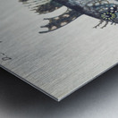 Antique fish possibly cristiceps sp weedfish South Pacific Fishes by Frank Edward Clarke 1849-1899.  Metal print