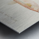 Antique fish athennidae South Pacific Fishes by Frank Edward Clarke 1849-1899.  Metal print