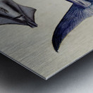 Antique Sword fish South Pacific Fishes by Frank Edward Clarke 1849-1899.  Metal print