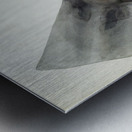 Antique fish Hammerhead Shark South Pacific Fishes by Frank Edward Clarke 1849-1899.  Metal print