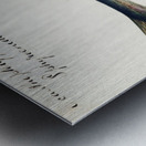 Antique fish Sphyraena novaehollandiae South Pacific Fishes by Frank Edward Clarke 1849-1899.  Metal print