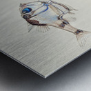 Antique drawing watercolor common hatchetfish marine life. South Pacific Fishes by Frank Edward Clarke 1849-1899. Metal print