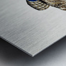 Antique Thornfish South Pacific Fishes by Frank Edward Clarke 1849-1899.  Metal print