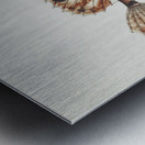 Antique fish possibly cristiceps australis weedfish South Pacific Fishes by Frank Edward Clarke 1849-1899.  Impression metal