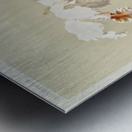 Cattleya mossiæ var reineckiana from Reichenbachia Orchids 1888-1894 illustrated by Frederick Sander 1847-1920.  Metal print