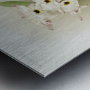 Dendrobium melanodiscus from Reichenbachia Orchids 1888-1894 illustrated by Frederick Sander 1847-1920.  Metal print