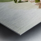 Cattleya brieniana from Reichenbachia Orchids 1888-1894 illustrated by Frederick Sander 1847-1920.  Metal print