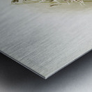 Odontoglossum nævium from Reichenbachia Orchids 1888-1894 illustrated by Frederick Sander 1847-1920.  Metal print