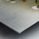 Cypripedium lathamianum inversum from Reichenbachia Orchids 1888-1894 illustrated by Frederick Sander 1847-1920.  Metal print