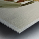 Cattleya granulosa var schofieldiana from Reichenbachia Orchids 1888-1894 illustrated by Frederick Sander 1847-1920.  Metal print