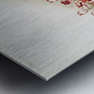 Odontoglossum hybridum leroyanum from Reichenbachia Orchids 1888-1894 illustrated by Frederick Sander 1847-1920.  Metal print