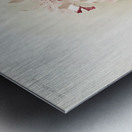 Cattleya amethystoglossa from Reichenbachia Orchids 1888-1894 illustrated by Frederick Sander 1847-1920.  Metal print