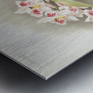 Odontoglossum crispum Kinlesideanum from Reichenbachia Orchids 1888-1894 illustrated by Frederick Sander 1847-1920.  Metal print