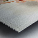 Lælia grandis from Reichenbachia Orchids 1888-1894 illustrated by Frederick Sander 1847-1920.  Metal print