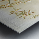 Odontoglossum sanderianum from Reichenbachia Orchids 1888-1894 illustrated by Frederick Sander 1847-1920.  Metal print