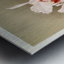 Cattleya labiata var luedemanniana from Reichenbachia Orchids 1888-1894 illustrated by Frederick Sander 1847-1920.  Metal print