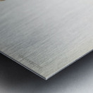 Cypripedium selligerum majus from Reichenbachia Orchids 1888-1894 illustrated by Frederick Sander 1847-1920.  Metal print