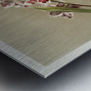 Odontoglossum crispum mundyanum from Reichenbachia Orchids 1888-1894 illustrated by Frederick Sander 1847-1920.  Metal print