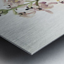 Lissochilus giganteus from Reichenbachia Orchids 1888-1894 illustrated by Frederick Sander 1847-1920.  Metal print