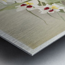 Odontoglossum roezlii from Reichenbachia Orchids 1888-1894 illustrated by Frederick Sander 1847-1920.  Metal print