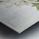 Vanda ccerulea from Reichenbachia Orchids 1888-1894 illustrated by Frederick Sander 1847-1920.  Metal print