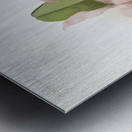 Cattleya labiata warneri from Reichenbachia Orchids 1888-1894 illustrated by Frederick Sander 1847-1920.  Metal print